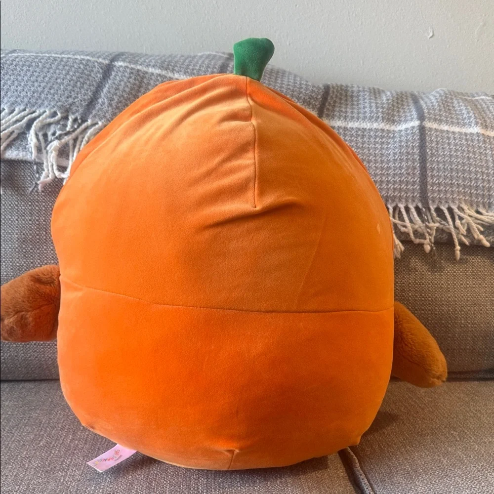 Squishmallows Orange Plush Toy